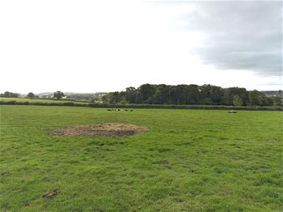 Picture 10